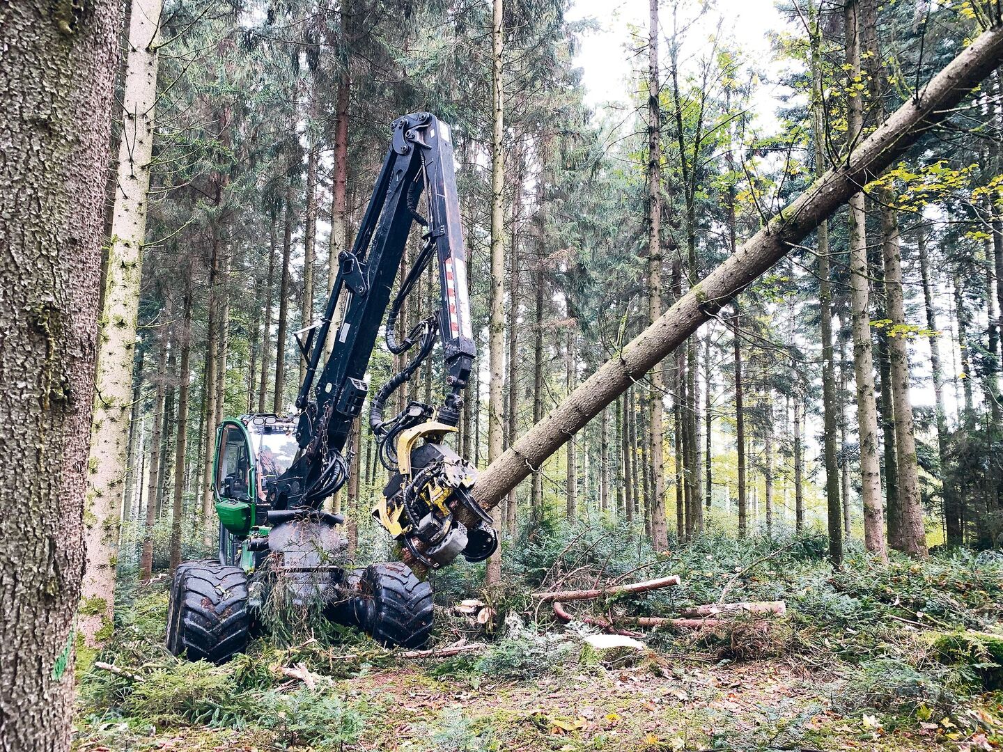 Moderne Holzernte im Wald: Beim Einsatz solcher Prozessoren ist der Informationsbedarf für die Bevölkerung gross. (