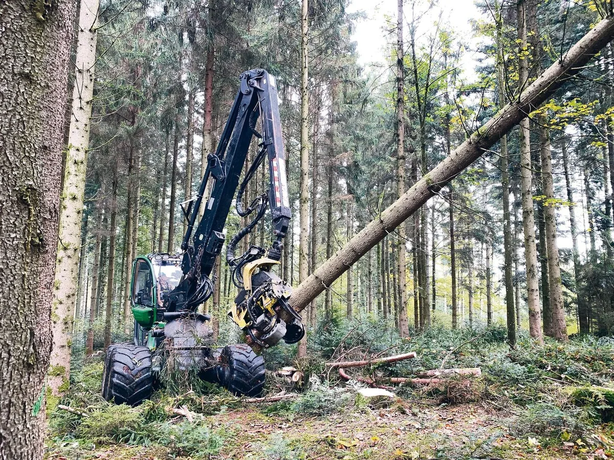 e9dc7b1b2b62e370f10bc65874cff18f6e5b5052dda012e23966f46c1d19db33 Moderne Holzernte im Wald: Beim Einsatz solcher Prozessoren ist der Informationsbedarf für die Bevölkerung gross. (