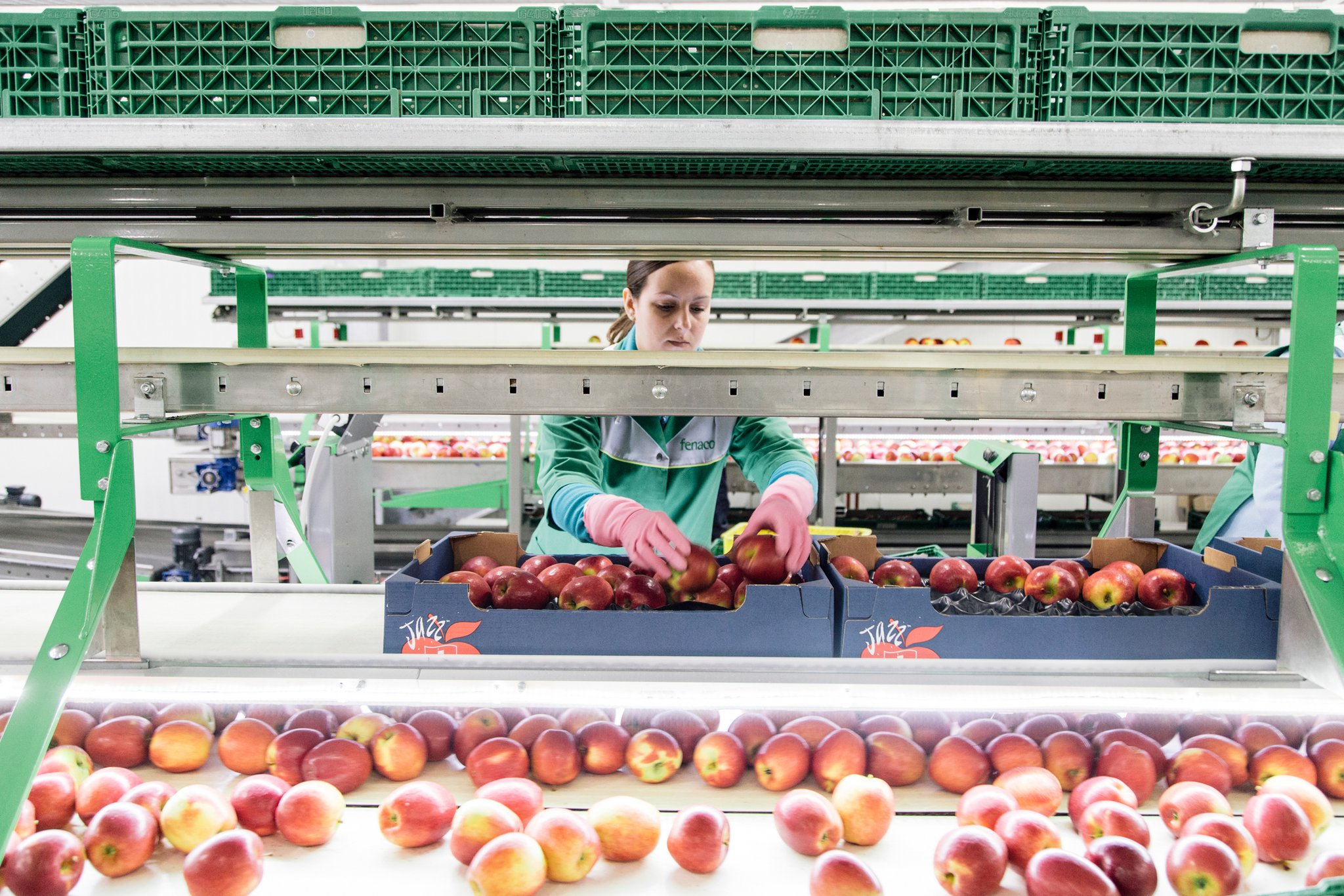 Fenaco Landesprodukte übernimmt Green Pack Swiss und Bio Pack Swiss