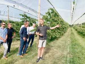 Reto Diener erläutert den Mitgliedern der Luzerner Landwirtschaftlichen Kreditkasse anlässlich deren Generalversammlung Anfang Juni in der Kirschenanlage, was regenerative Landwirtschaft im Obstbau bedeutet.