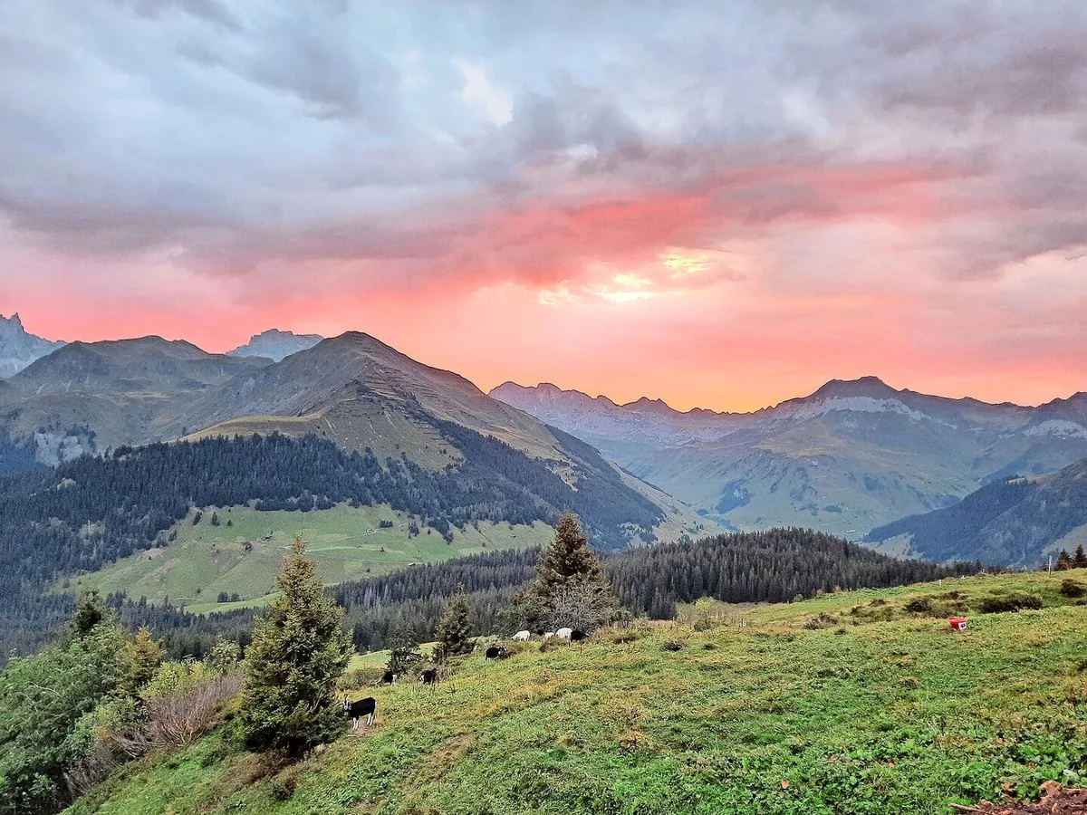 Der Herbst hält Einzug, die Sonne kommt morgens immer später –  dafür kommt das Alpteam in den Genuss eines prächtigen Morgenrots.