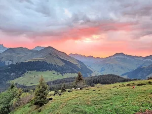 Der Herbst hält Einzug, die Sonne kommt morgens immer später – dafür kommt das Alpteam in den Genuss eines prächtigen Morgenrots.