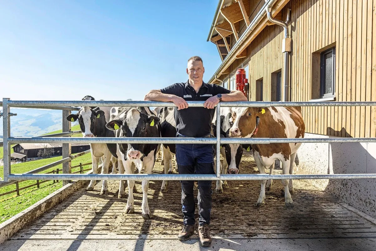 Matthias Sempach und seine Holsteinkühe freuen sich auf den Weidestart. Die Weiden hat er mit einem festen Zaun eingezäunt.