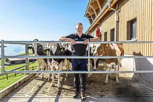 Matthias Sempach und seine Holsteinkühe freuen sich auf den Weidestart. Die Weiden hat er mit einem festen Zaun eingezäunt.