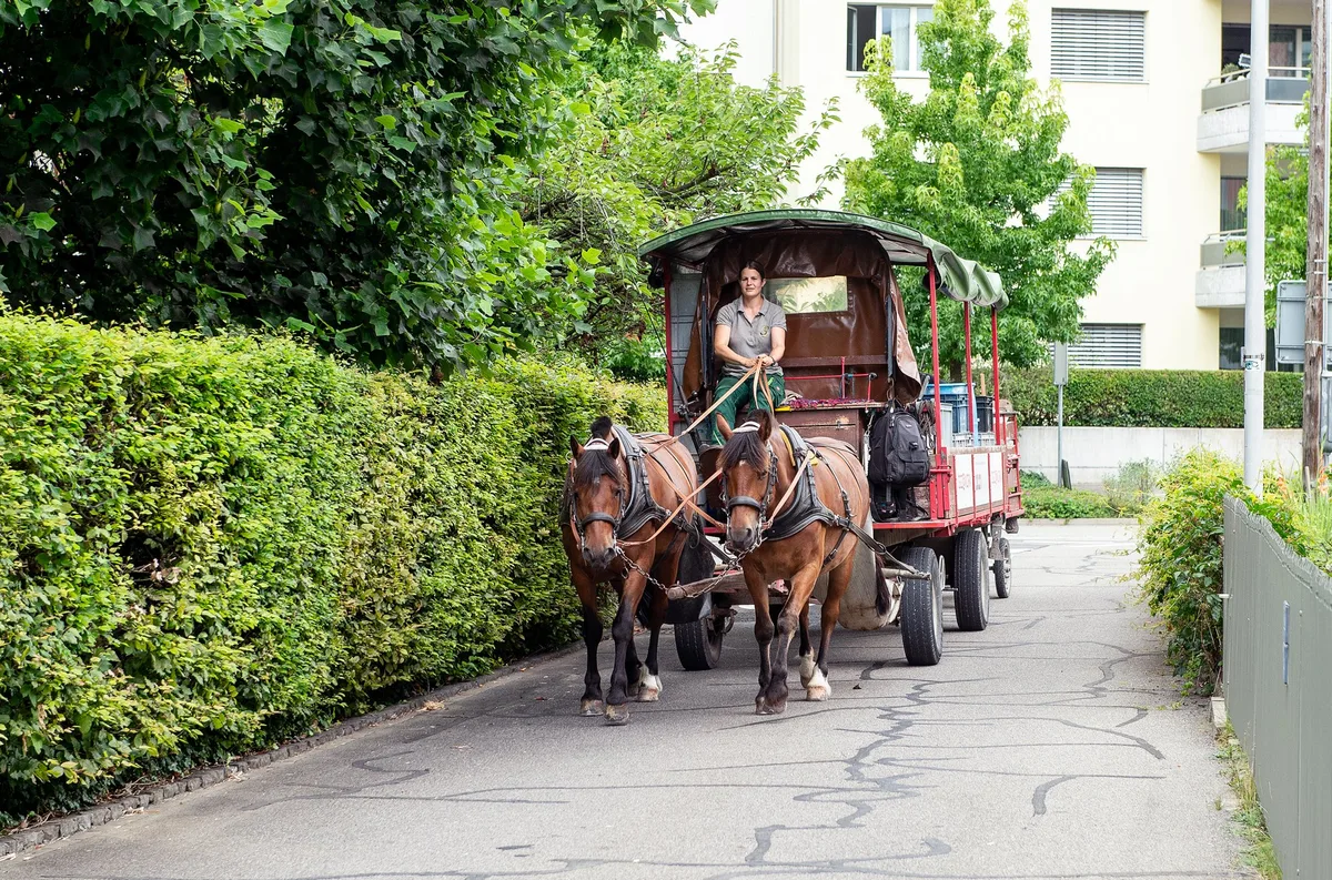_AMM1049 Unterwegs mit dem Rösslitram