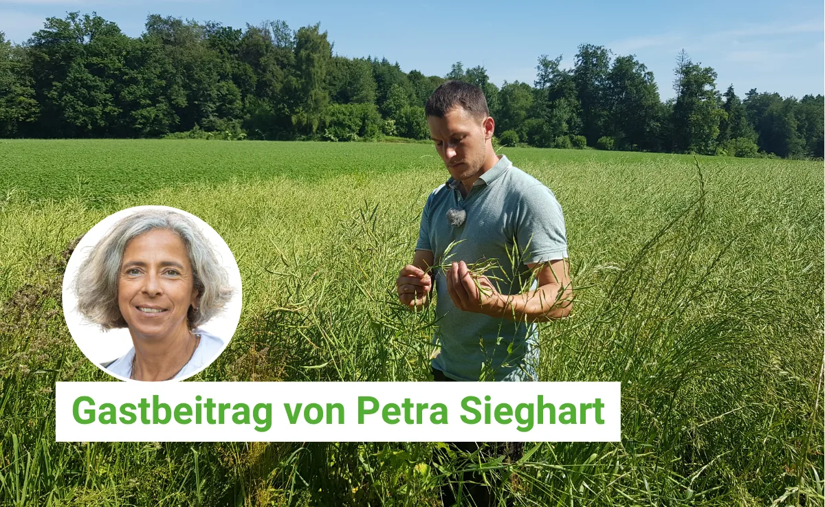 Artikel_BauZ_Gastbeitrag_Sieghart8526 Die neue FaBe Pflanzenschutz ist eine gute Sache für die Branche
