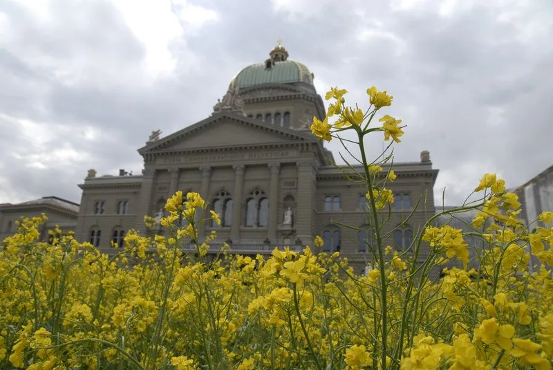 0afe9350b6b90cf88919b57607bd23ee8fbb534a Raps vor dem Bundeshaus: Die Beko soll der Regierung in Landwirtschaftsfragen beraten. (Bild zVg)
