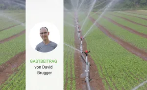 Von der Forschung würde sich David Brugger mehr Hilfe bei der Lösungsfindung wünschen, statt realitätsferner Schlagzeilen.