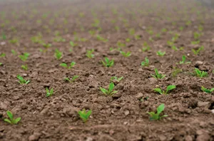 «Landwirtschaft und Naturschutz dürfen sich nicht ausschließen», sagt Ties Möckelmann, der in der Fernsehsendung porträtiert wird.