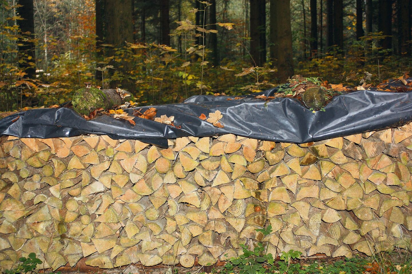Die Zusammenarbeit mit Holzvermarktungsorganisationen bringt Vorteile. Der Marktzugang wird auch für kleine Waldbesitzer erleichtert und die Position am Markt gestärkt.