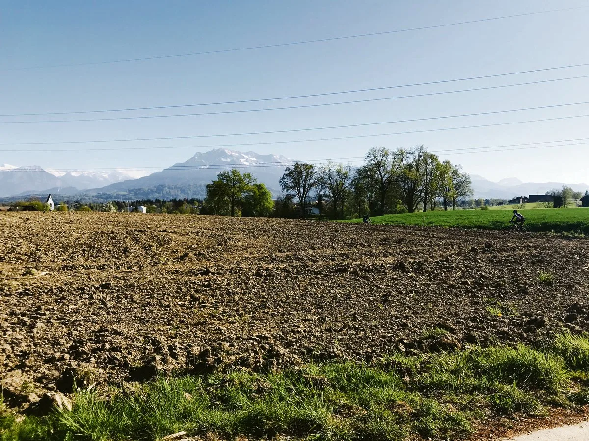 61b5198025b9556ed3488311d9c810bd37d57ad5 Ob wohl hier am Rand des Ackers auch Sonnenblumen gesät werden? Es wird sich zeigen …(Bild Franziska Jurt)