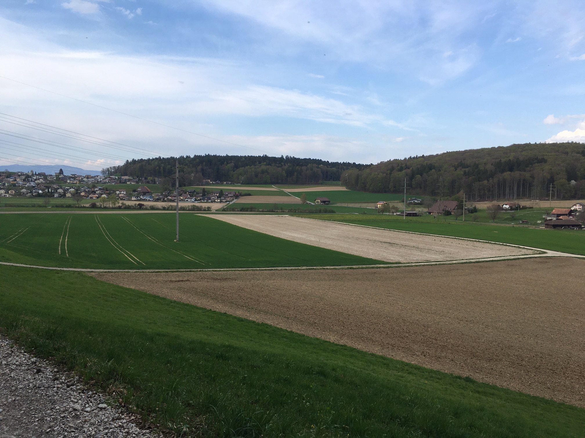 Landschaftsinitiative würde zu gesetzlichen Unklarheiten führen