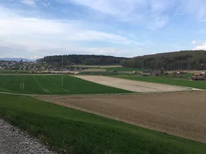 Im Nichtbaugebiet soll die Neuerstellung von Bauten und Anlagen sowie die Änderung bestehender Bauten und Anlagen beschränkt werden, so fordert die Landschaftsinitiative.