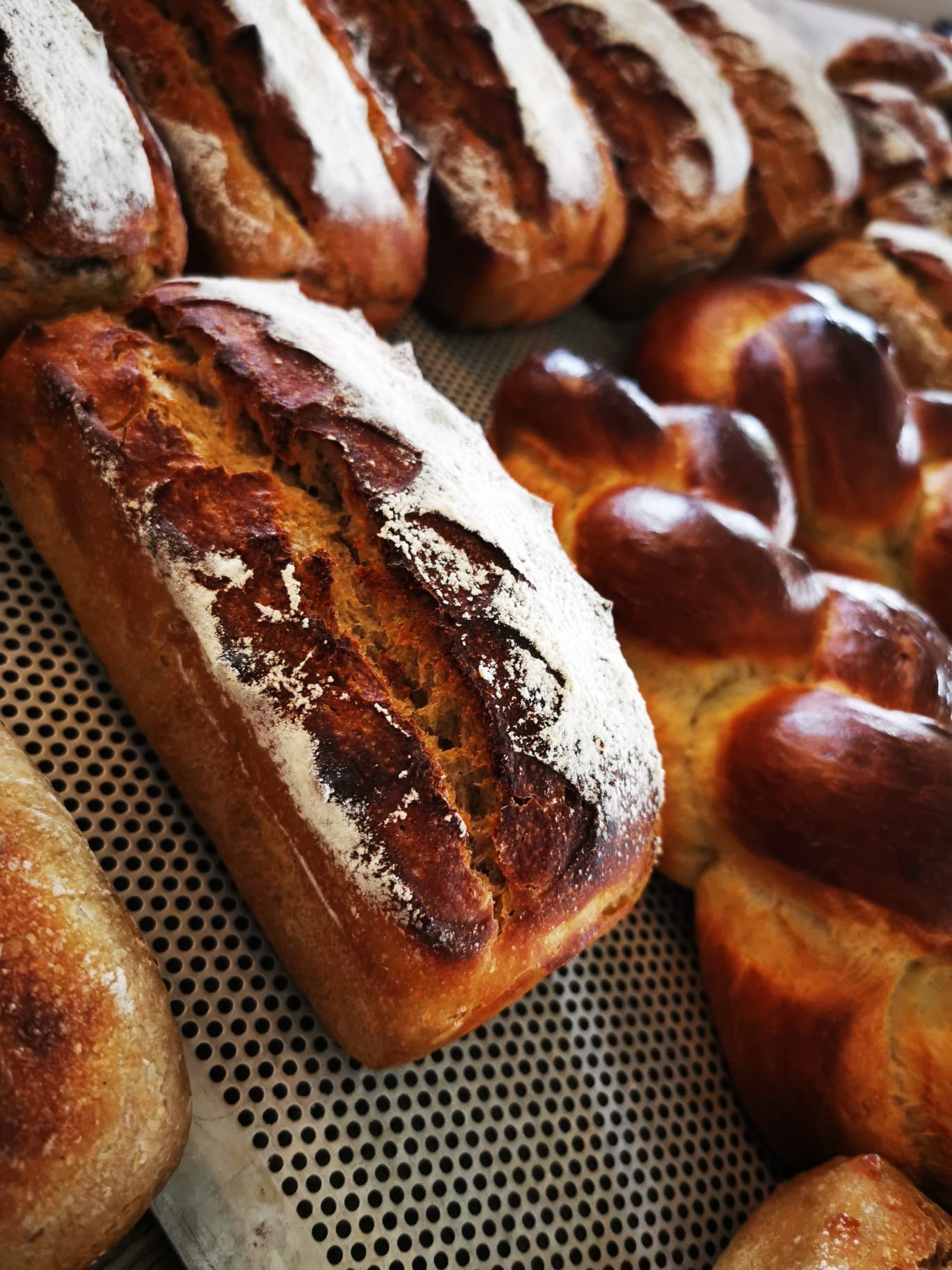 Brotgetreidelager reichen bis zur neuen Ernte