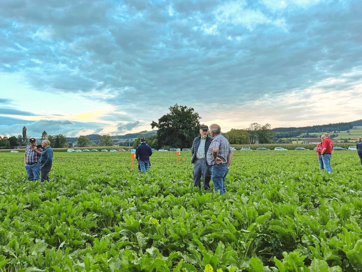 An der Flurbegehung des Feldversuches in Münsingen wurde rege diskutiert.
