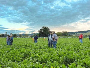 An der Flurbegehung des Feldversuches in Münsingen wurde rege diskutiert.
