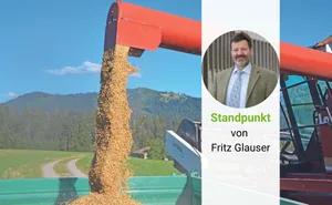 Der Futtergetreide-Anbau wird zukünftig weiter zurückgehen wegen den tiefen Produzentenpreisen.