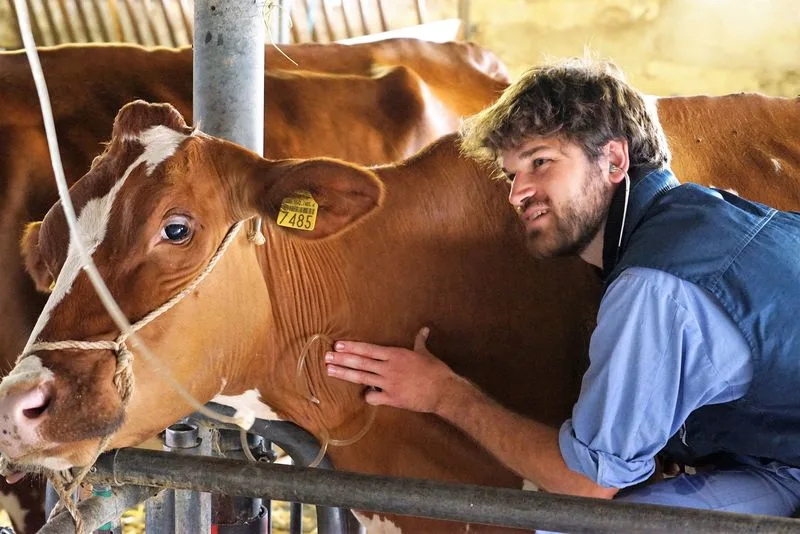 Der Antibiotika-Einsatz sinkt weiter