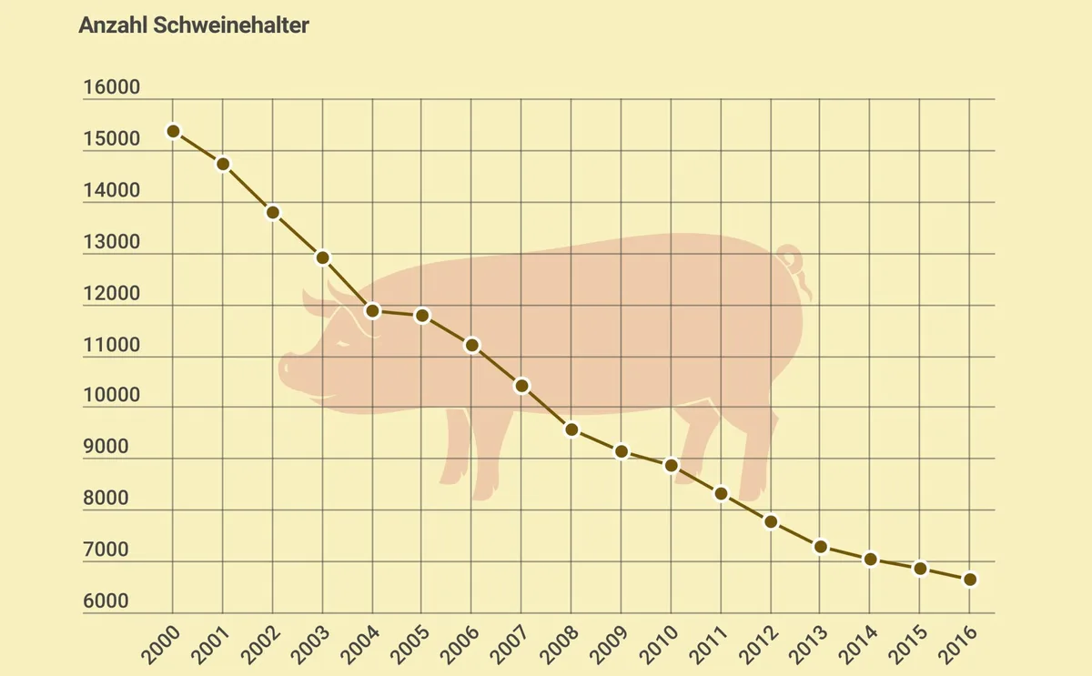 5ffb0c65eb10dd501331d4723a4095468b443e72 Der Strukturwandel in der Schweinehaltung ist deutlich stärker, als in der übrigen Landwirtschaft. (Grafik LID)