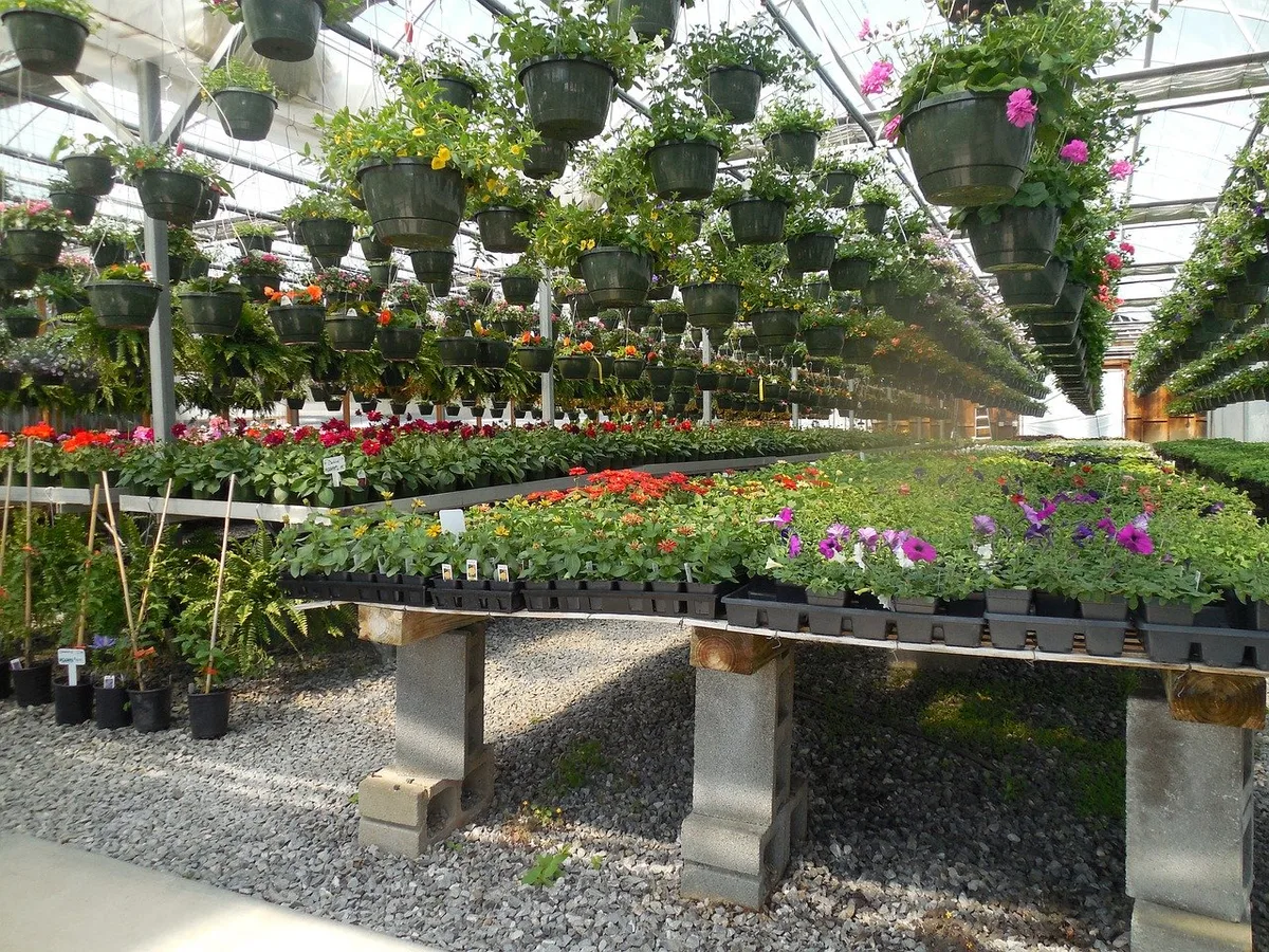 3792e7e7fa159aed31e908c43547e34685ab65a7 Bald dürfen Blumen und Gartenbedarf wieder in Geschäften verkauft werden. Märkte werden erst später wieder erlaubt. (Bild Pixabay)