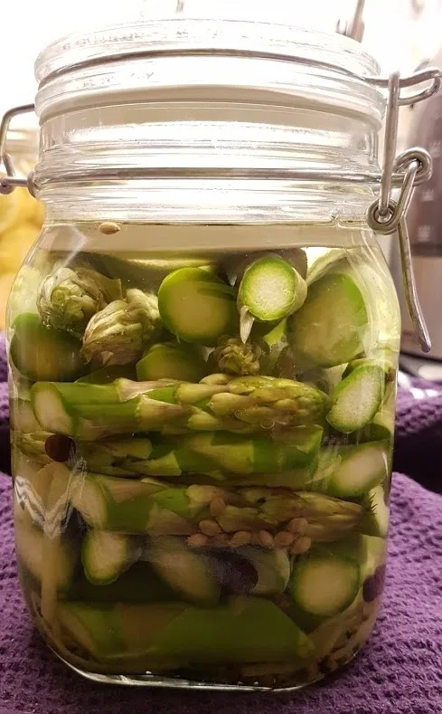 828cc9546a64ad78a06d1cffd8b92186cd7d968a Fermentierter Grünspargel im Glas. (Bilder Marie-Isabelle Bill)