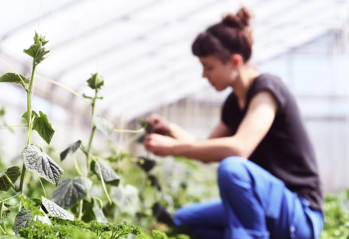 Frauen in der Landwirtschaft: Teilnehmerinnen für «Living Labs» gesucht