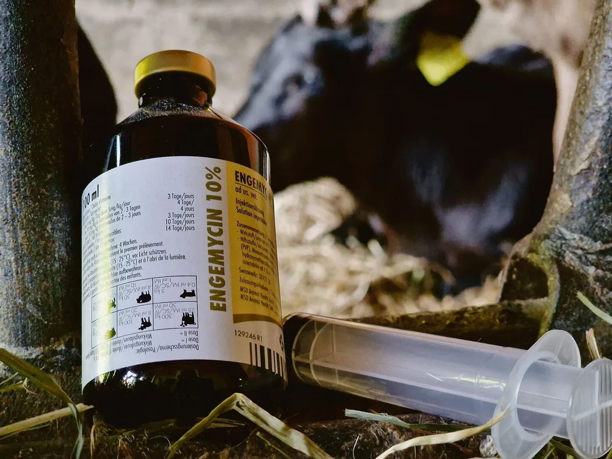 35b64c24b1011ab116fe9b612ce87a5025ef2c28090b5a87c23c1671d5da80d1 In Sachen Antibiotika wird die Schraube bald angezogen
