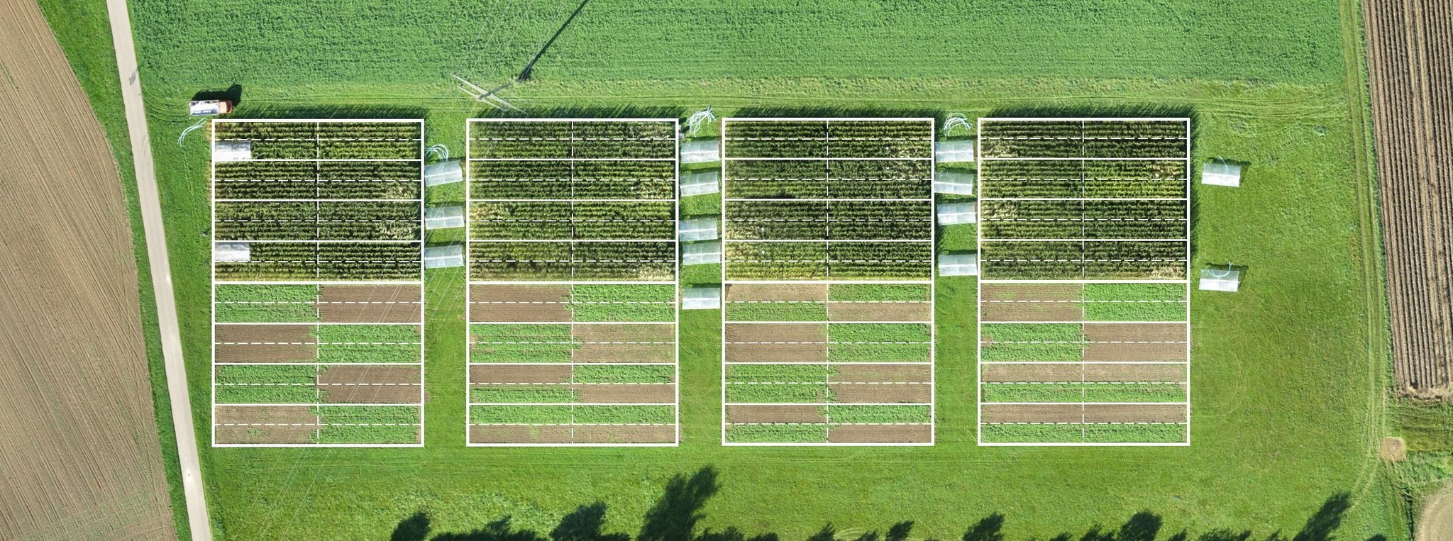 Bio ist doppelt so gut für die Umwelt, liefert aber 22 Prozent weniger Ertrag