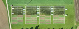 Die Versuchsfläche umfasst 128 kleine Plots auf rund einer Hektare und liegt ausserhalb von Zürich.