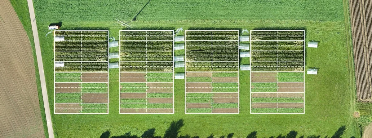 versuch-agroscope Bio ist doppelt so gut für die Umwelt, liefert aber 22 Prozent weniger Ertrag