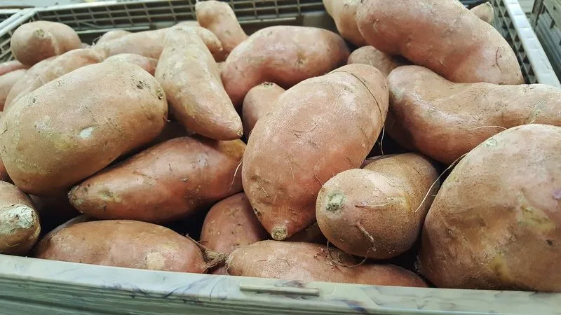 Süsskartoffeln: Ist der Import-Peak bereits überschritten?
