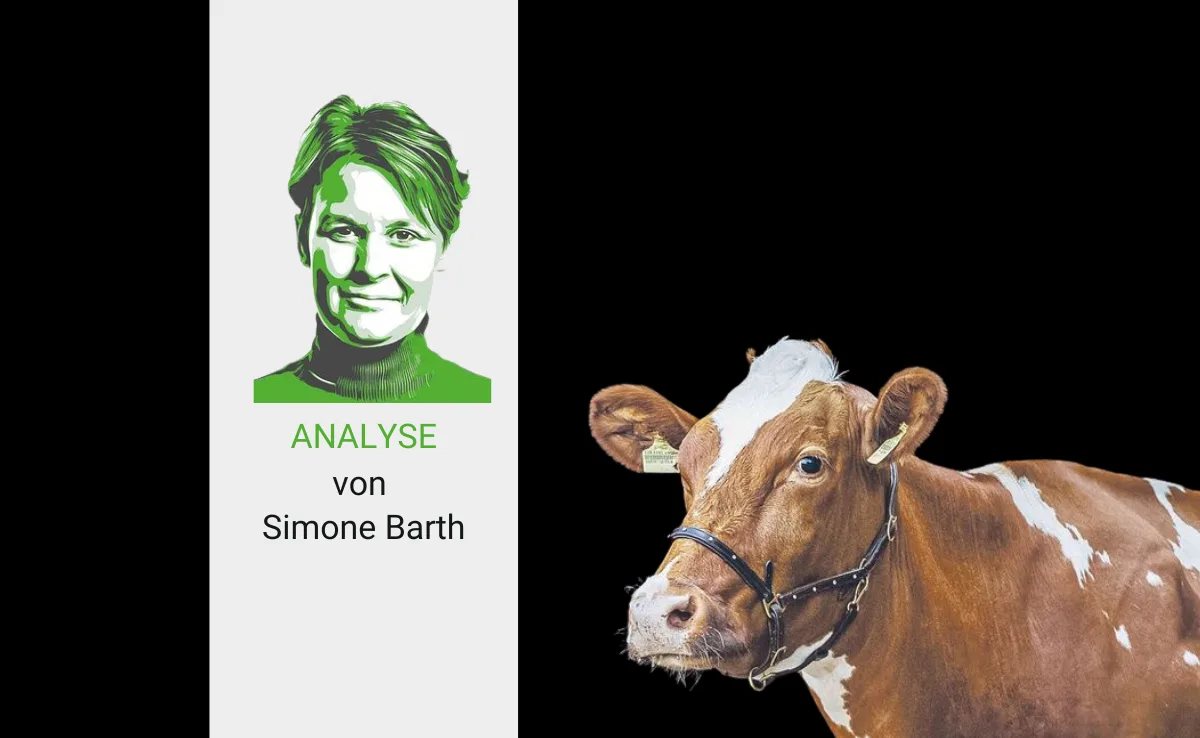 Artikel_Analyse_BauZ_Barth Der Holsteinisierung Einhalt zu gebieten, wird nicht gelingen