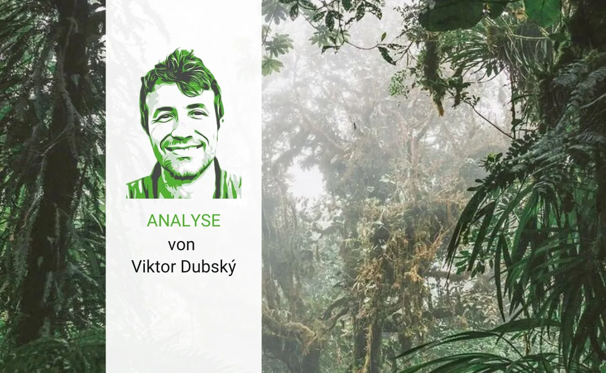 Artikel_Analyse_BauZ_Dubsky_Wald Die Schweiz: Eine Regenwaldoase inmitten der Abholzungswüste