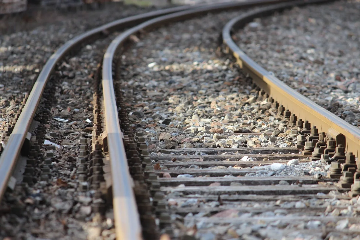 tracks-g8ae518760_1920 Bahnverkehr Bern-Thun wegen Zusammenstoss mit Tieren beeinträchtigt
