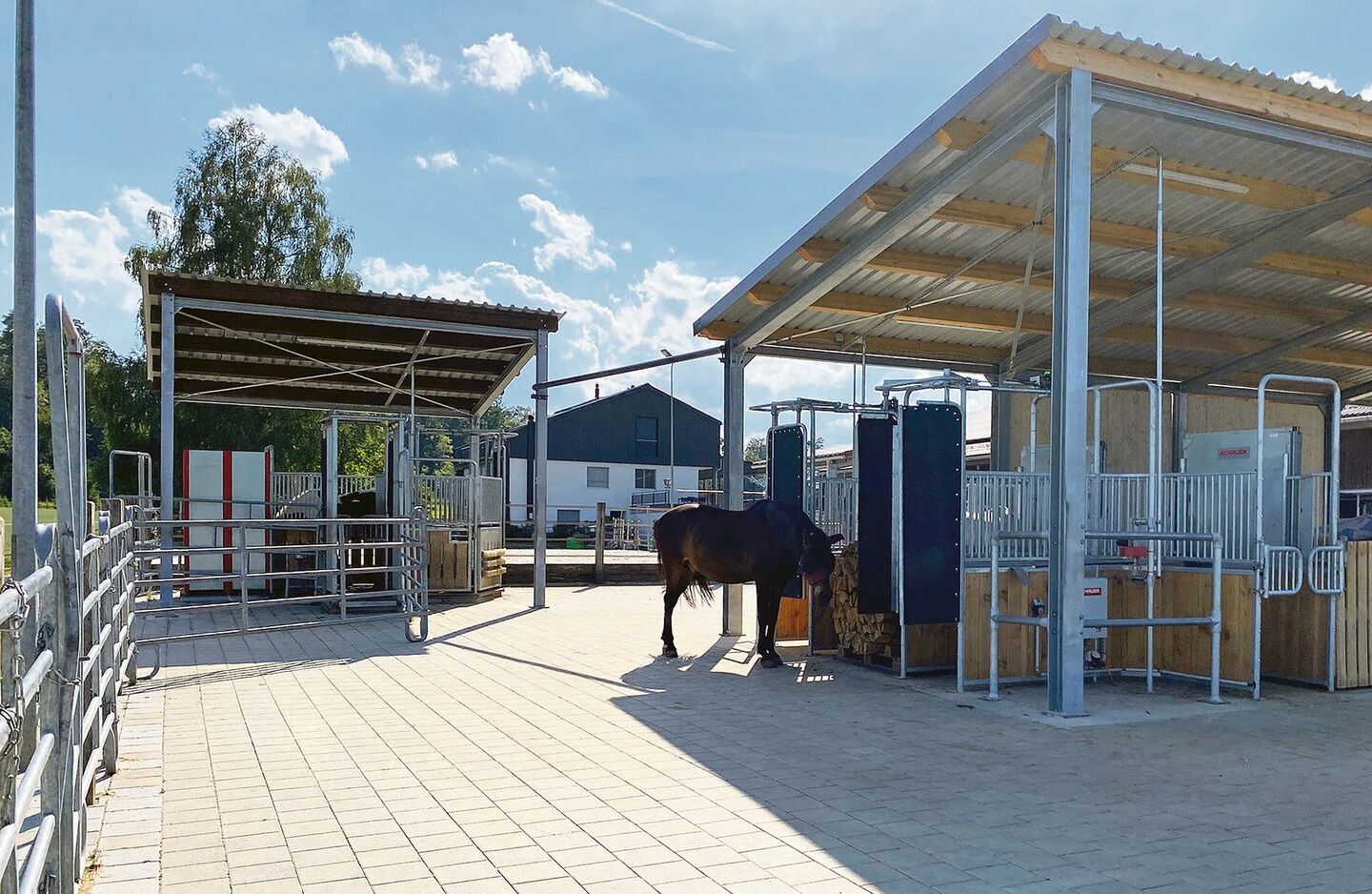 Was haben Sie gebaut oder bauen lassen, damit das Pferdewohl in Ihrem Stall erheblich verbessert ist? Zeigen Sie es uns und melden Sie sich für die Aktion «Der Gute Stall» an.