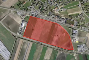Die Zbangmatte in der Nähe des Bahnhofs Ins im Berner Seeland ist 14 Hektaren gross. Nun sollen darauf keine Industriebetriebe angesiedelt werden.