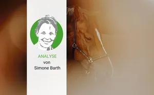 Undurchsichtiges Vorhaben beim Freiberger: Längst eingeführtes und vom Bund unterstütztes Fremdblut scheint neuerdings beim Bund unerwünscht.
