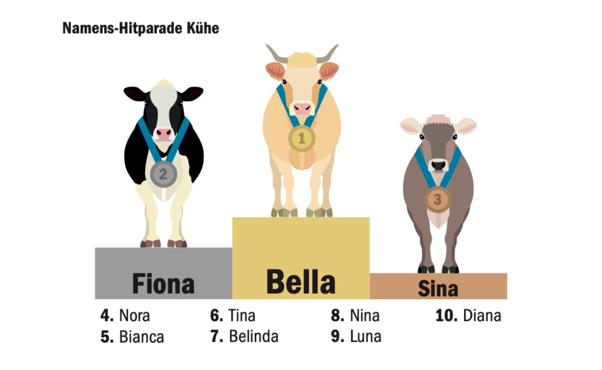 Auf dem Podest der beliebtesten Kuhnamen stehen Bella, Fiona und Sina