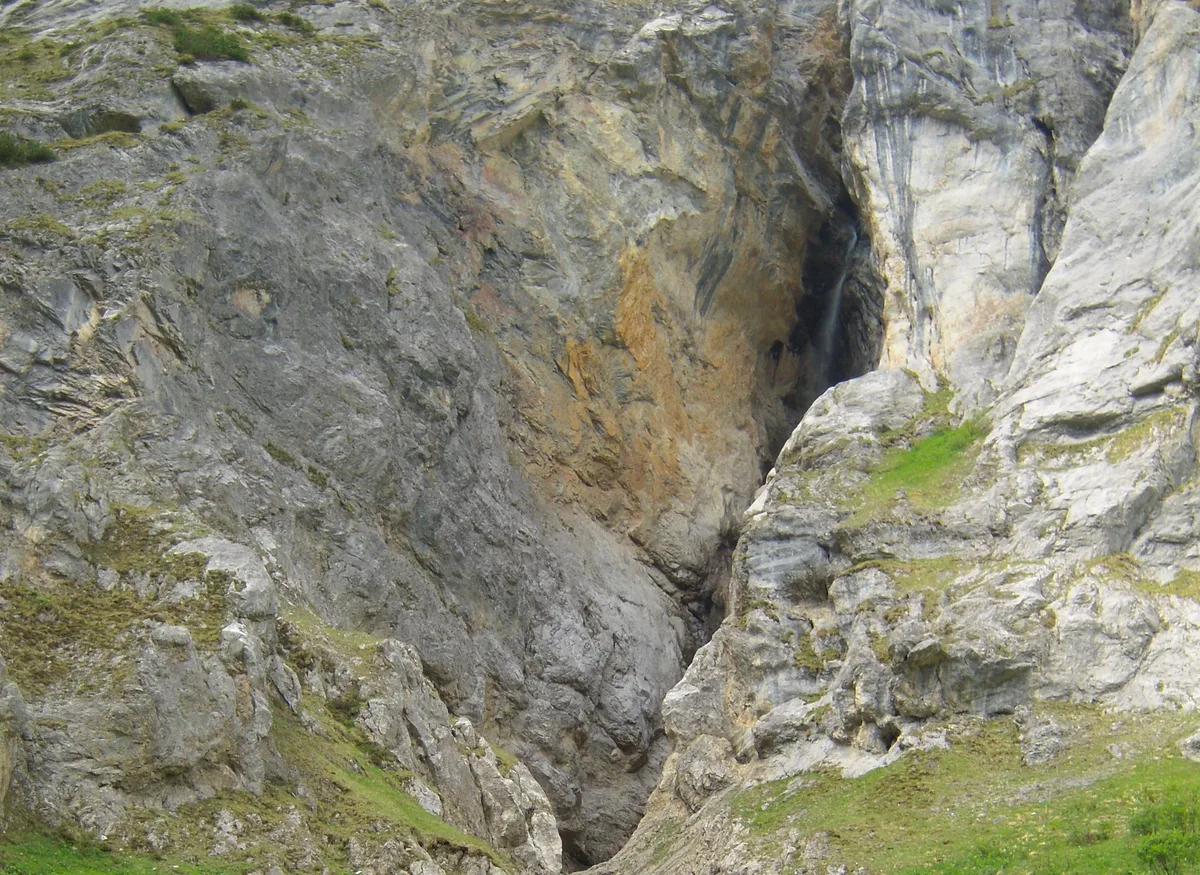 Drei tote Jungrinder auf Alp im Melchtal gefunden