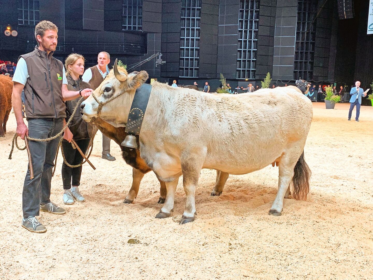 Auch 2024 sind Aubrac-Rinder in Vorführungen (1., 2. und 4. Oktober, Hall 3) und in einer Schau (3. Oktober, Zénith) zu bewundern.