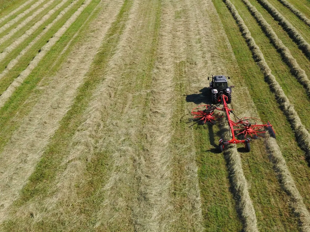 Traktor fährt mit Heuschwader über das Feld und kehrt das Heu zusammen.