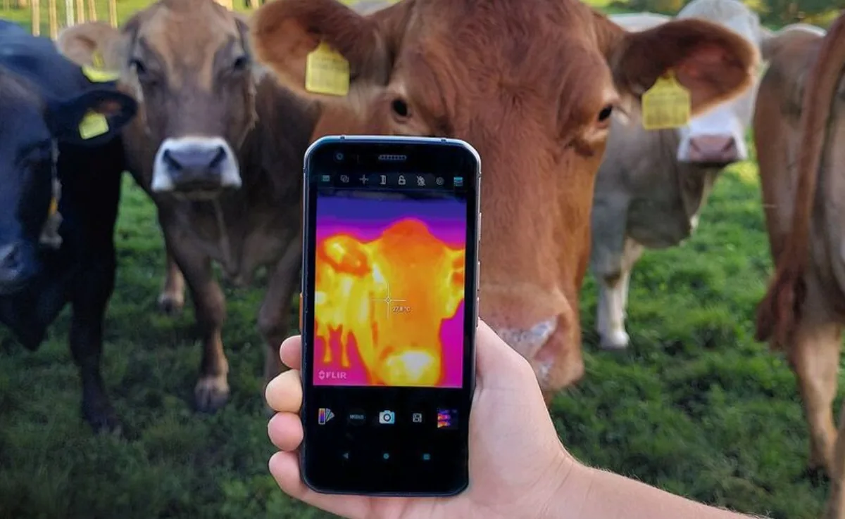 cat62 Das CAT S62 Pro Smartphone mit Wärmebildkamera: Unkaputtbar und mit Röntgenblick
