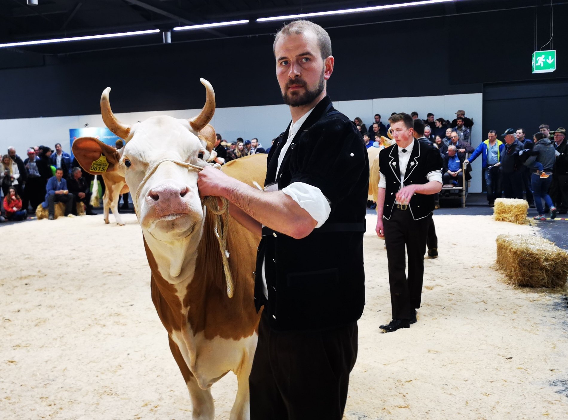 26. Berner Oberländische Verbandsschau