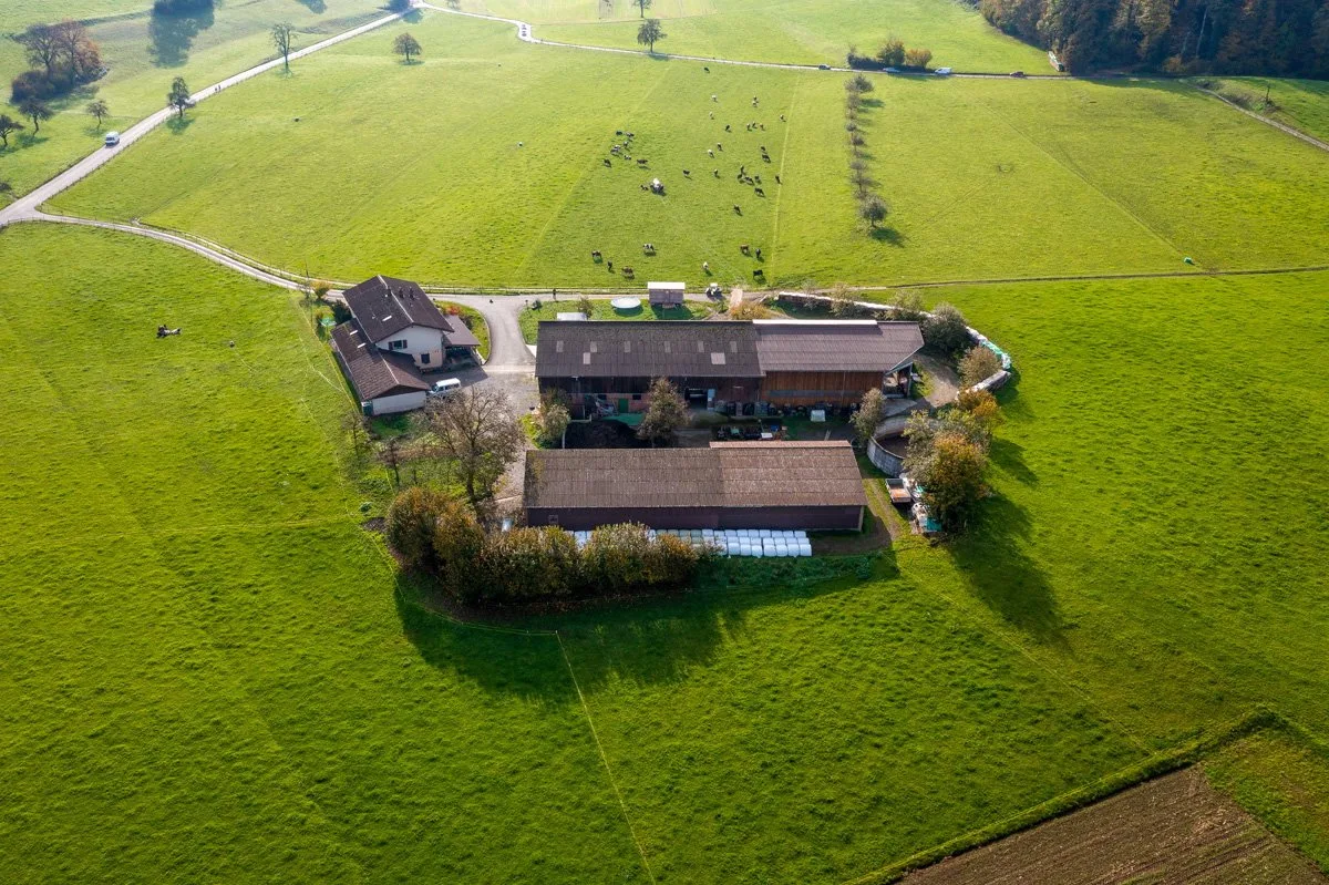 trDJI_0671.jpg Milch aus Gras – Biobauer Peter Trachsel setzt seine Strategie erfolgreich um