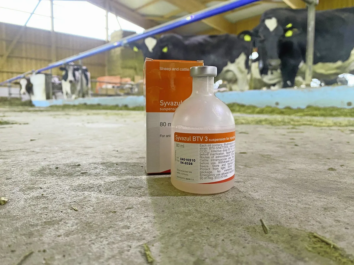 DG_25-05_SA_Blauzunge_vorbeugen_Geiser Die Impfung ist eine wichtige Massnahme zur Vorbeugung der Blauzungenkrankheit und sollte nun abgeschlossen sein.