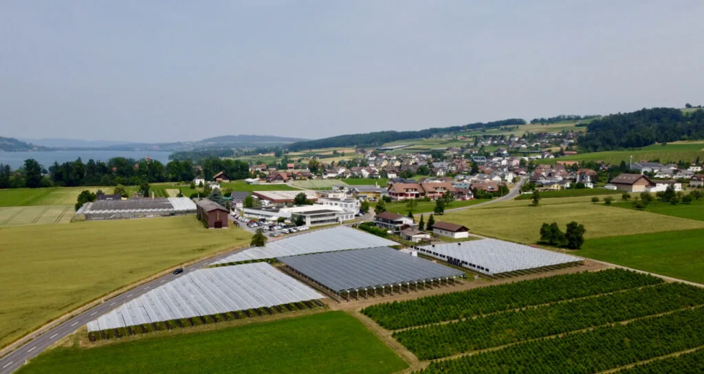 4_insolagrin@Bioschmid_drone_LR_opt-1024×544 Agri-Photovoltaik: Bei Schmids wachsen Himbeeren unter Solarpanels und Beobachtung