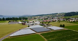 Drohnenaufnahme der neuen Agro-PV-Anlage der Bioschmid GmbH.