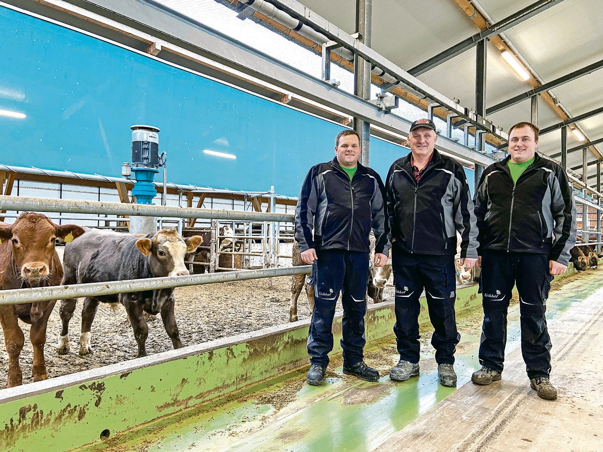 Lohnende Grossinvestition: Christoph, Urs und Andreas Meier (v.l.) in ihrem neuen BTS-/RAUS-Munimaststall. Die Fütterungsautomaten nehmen dem eingespielten Trio viel Arbeit ab. (Bild Adrian Krebs)