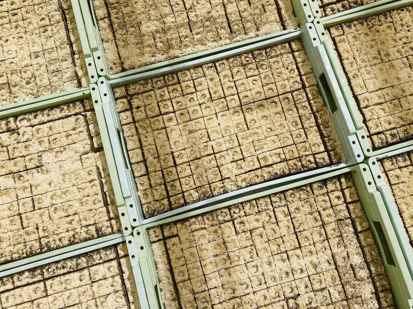 In drei Jahren soll in Presstöpfen weniger Torf eingesetzt werden. Eine gute Alternative zu finden, ist nicht so einfach.
