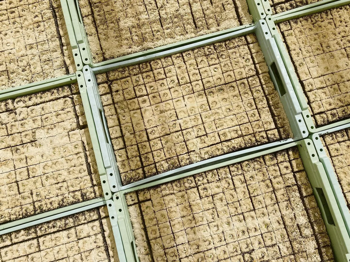 49bf5b865984aaea4ed2f00e7041efb1c32969effdea4bc21851edeadfc60ad3 In drei Jahren soll in Presstöpfen weniger Torf eingesetzt werden. Eine gute Alternative zu finden, ist nicht so einfach.